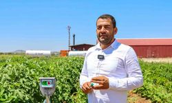 Gaziantep Büyükşehir, ata tohumlarına sahip çıkıyor