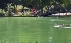 Göletli Park’ta korku dolu anlar: Suya düşen çocuk vatandaşlar tarafından kurtarıldı