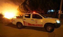 Gömeç’te otluk alandaki yangın kısa sürede söndürüldü