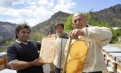 Gümüşhane’de 2025 yılı bal hasadı üreticilerin yüzünü güldürdü