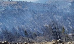 Kahramanmaraş’taki orman yangını sürüyor