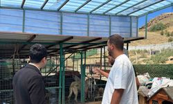 Kaymakam Tutal, Hayvan Barınağı’nda incelemelerde bulundu
