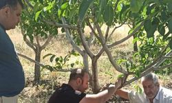 Kovancılar’da çiftçiler bilgilendirdi
