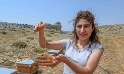 Mersin’de ‘Altın Kovan Projesi’ ile arı yetiştiriciliğine destek