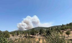 Mersin'de Ormanlık Alanda Yangın