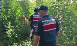 Mersin’de uyuşturucu operasyonu: 8 gözaltı