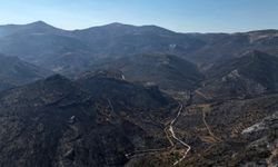 Silifke Yangınının Acı Manzarası Havadan Görüntülendi