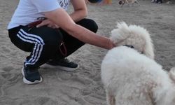 Proteo Köpek Eğitim Parkuru’na tam not