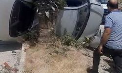 Takla atan otomobil ağaça çarparak durabildi