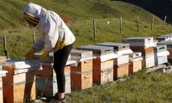Tunceli Arıcı Yetiştiricileri Birliği bal alım fiyatlarını açıkladı
