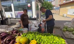 Üniversiteli kardeşler hem aileleri hem de kendileri için üretiyor