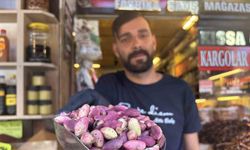 Yeni mahsul Antep fıstığı tezgaha indi