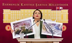 CHP’li Şevkin, “Afet Bakanlığı kurulsun, Fau yadası çıkarılsın