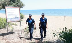 Mezitli'de Caretta Caretta'lar Koruma Altında