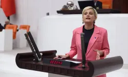 Perihan Koca'dan Çamlıyayla'daki Saldırı İçin Soru Önergesi