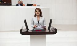 CHP'li Gülcan Kış'tan Hazine'ye 'Kriz' ve 'Seçim' Soruları