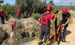 Mersin İtfaiyesi Sulama Kanalına Düşen İneği Kurtardı