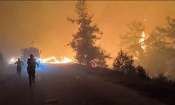 Alanya’da orman yangını