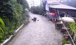 Artvin’de heyelan anı kamerada: Kayalar işletmeye ramak kala durdu