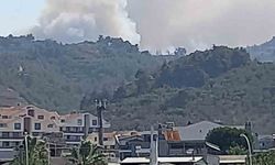 Bursa’da orman yangını