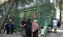 Gaziantep Doğal Yaşam Parkı’nda 8 ayda bir yılın rekoru kırıldı