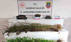 Samsun’da jandarma 2 kilo 355 gram esrar ele geçirdi: 2 gözaltı