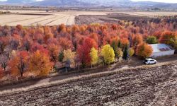4 mevsim farklı bir manzara sunuyor, sonbaharda mest ediyor
