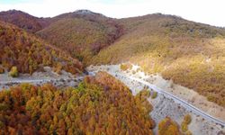 Adeta doğada bir tablo, Şebek Geçidi’nde sonbahar güzelli mest ediyor