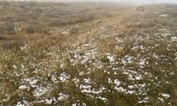 Ardahan’ın yüksek kesimlerinde kar yağışı etkili oldu