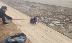 Batman’da kanala düşen köpek, itfaiye ekiplerince kurtarıldı