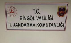 Bingöl’de uyuşturucu ve kaçakçılıkla mücadele: 34 gözaltı
