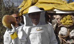 Bitlis Valisi Karakaya dünyaca ünlü karakovan balının hasadını yaptı