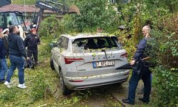 Çaycuma’da park halindeki otomobilin üzerine ağaç devrildi