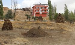 Erzincanlı köylüler kışa hazır: Yakacaklar tezekten