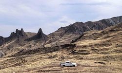 Iğdır’da yaban hayatı dron desteğiyle korunuyor