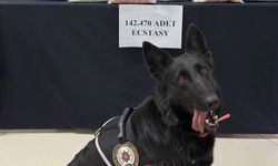 Karaman’da 71 milyon liralık uyuşturucu hap ele geçirildi