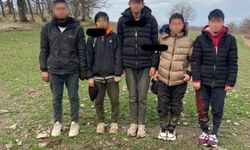 Kırklareli’nde 5 kaçak göçmen yakalandı