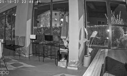 Korkutan şimşeğin ardından deprem meydana geldi