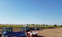 Şanlıurfa’da sürdürülebilir tarım hamlesi