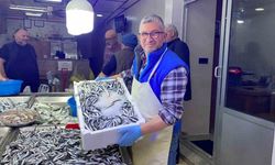 Sinop’ta hamsi fiyatları yarıya düştü