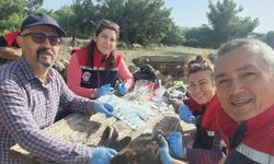 Söke’de kırsal mahallelerdeki tavuklardan kuş gribi numunesi alındı