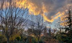 Sonbahar renkleri Eskişehir’i süsledi