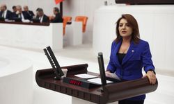 Gülcan Kış’tan Hazine’nin Fazla Borçlanma Stratejisine Tepki