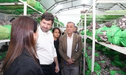 Tarsus’ta İstiridye Mantarı Kursunda İlk Hasat Gerçekleşti