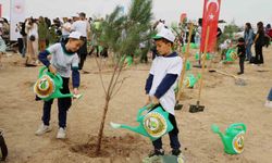 Adana’da 840 bin fidan toprakla buluştu