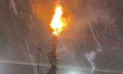 Adana’da düşen yıldırımlar yangına neden oldu