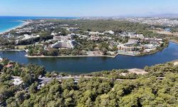 Antalya’da endemik türlere ev sahipliği yapan ormanlık alanlar tel çitle çevrilecek