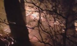 Hatay’da yıldırım düşmesiyle çıkan orman yangına müdahale devam ediyor