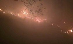 Hatay’da yıldırımın düştüğü ormanlık alanda yangın çıktı