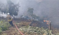 Kumlu’da bahçe yangını